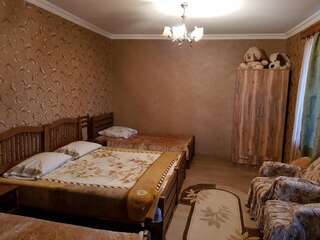 Дома для отпуска семейная гостиница Майя Dashbashi Дом с 2 спальнями-8